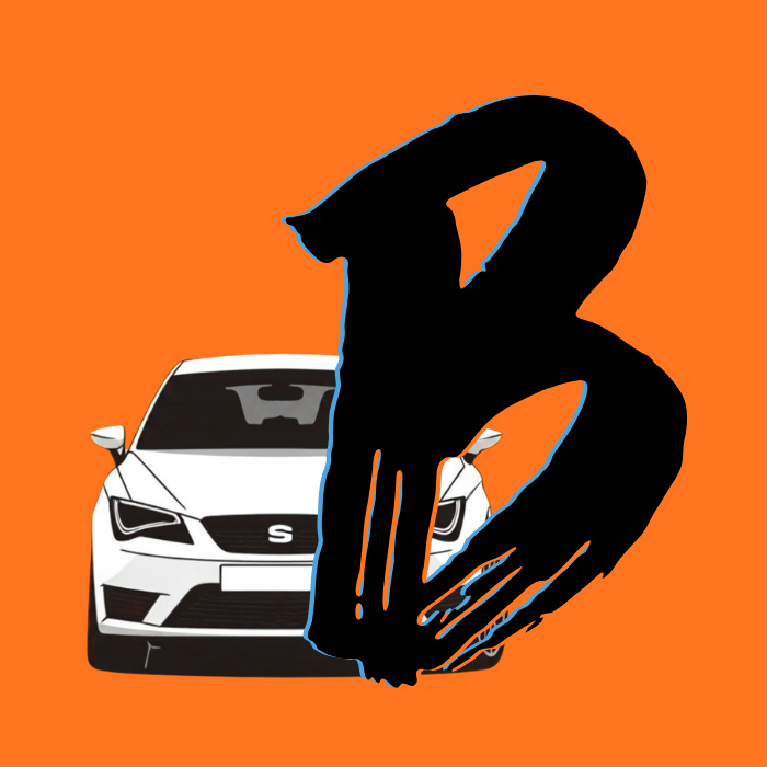 B Schein